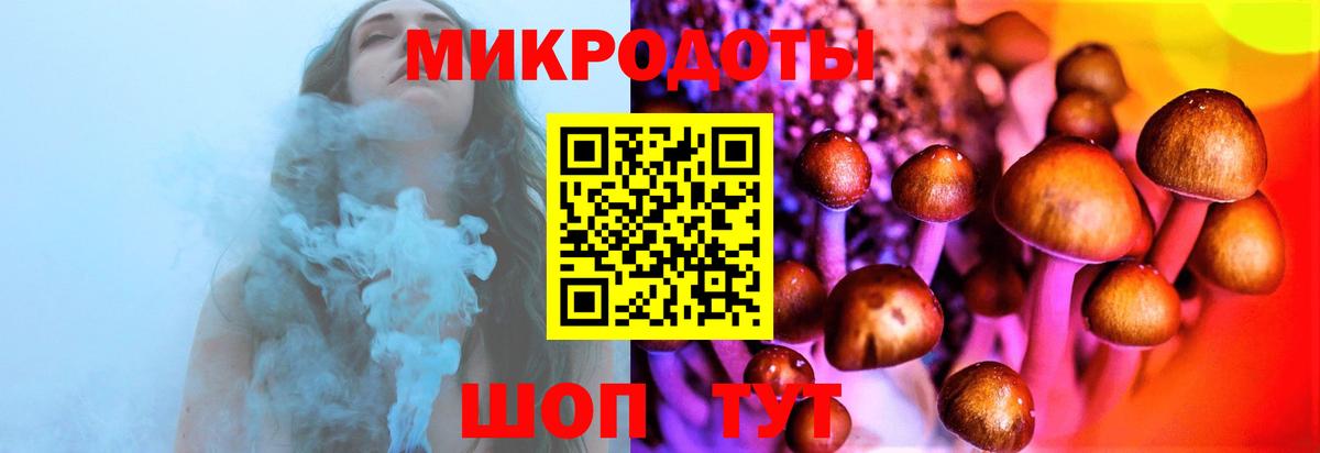 Псилоцибиновые грибы мицелий Анапа