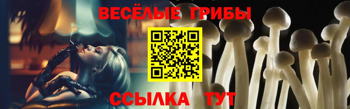 Анапа  Псилоцибиновые грибы Cubensis  Вход с VPN 
